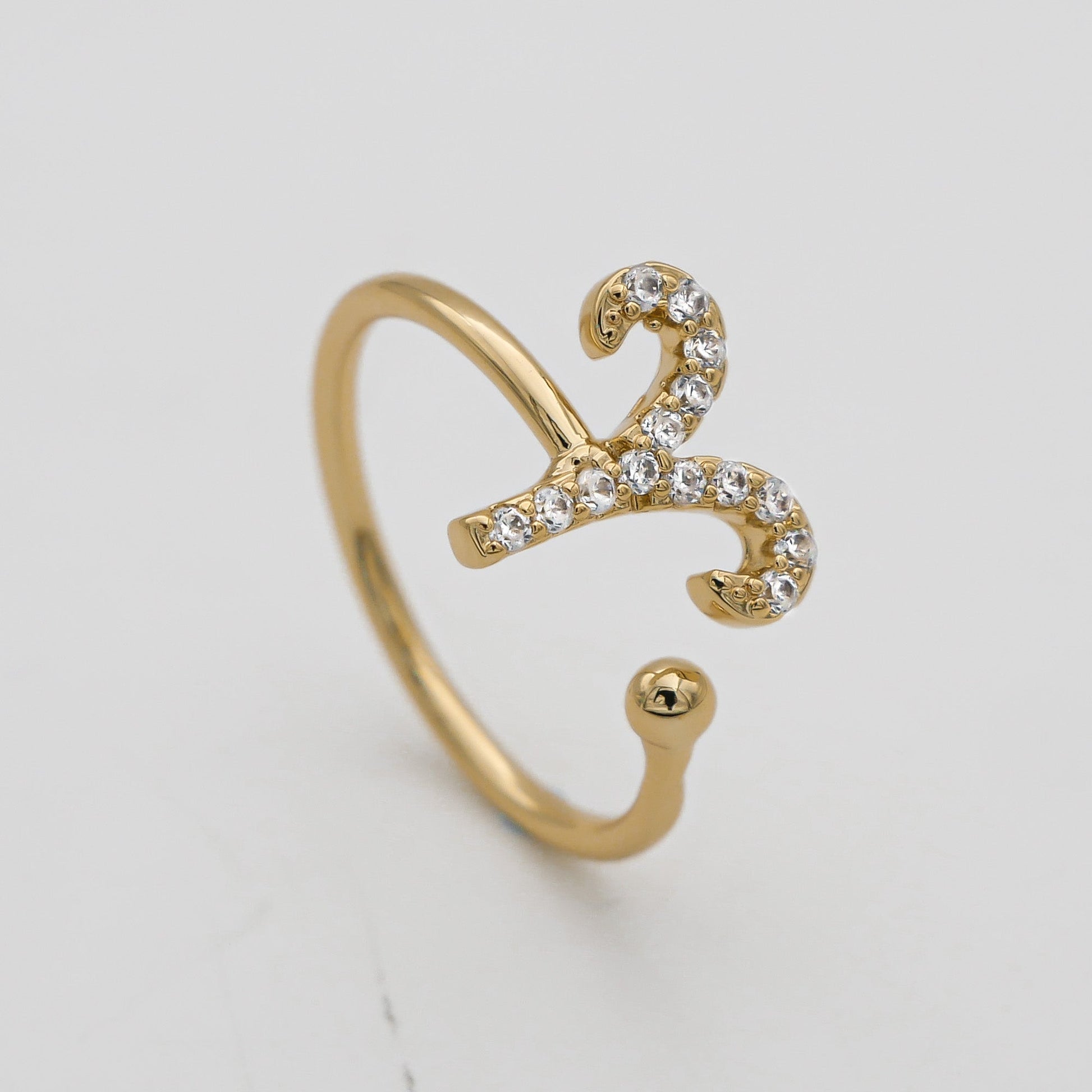 Pave Zodiac Ring - Image 14 - ISMI JEWELS