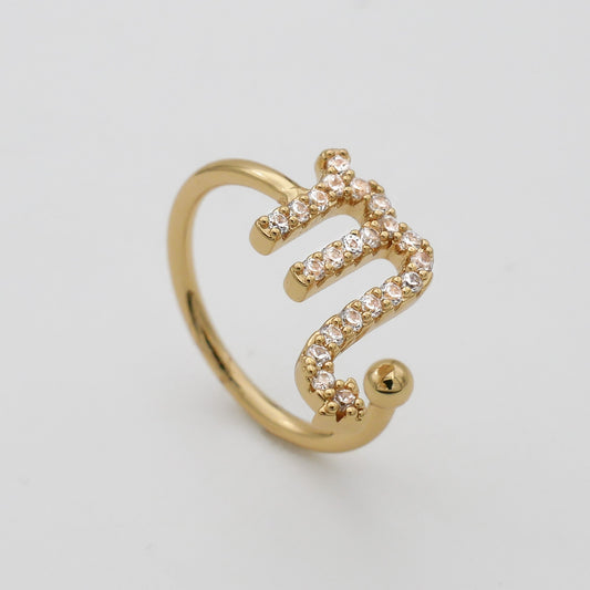 Pave Zodiac Ring - Image 1 - ISMI JEWELS